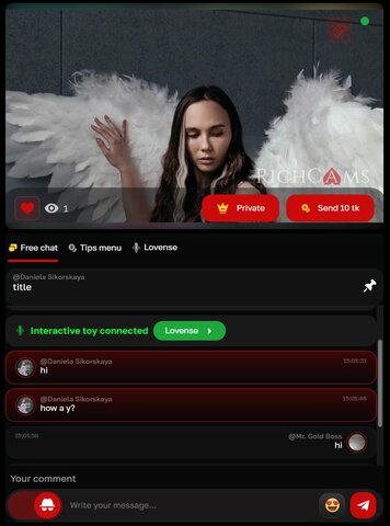 Client webcam site — live chat with model, Lovense integration, tips