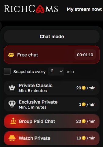 Model dashboard — streaming controls, earnings, private chat rates